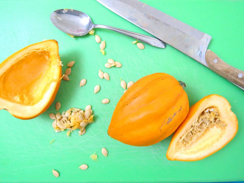 acorn squash sundae Sweet Savant America's best food blog Atlanta food blogger
