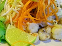 Shirataki Noodle Shrimp Pad Thai Low Calorie Low Carb healthy recipes sweetsavant.com America's best food blog